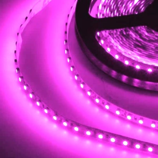 Color pink 6474 LED strips with emergency lighting capability
