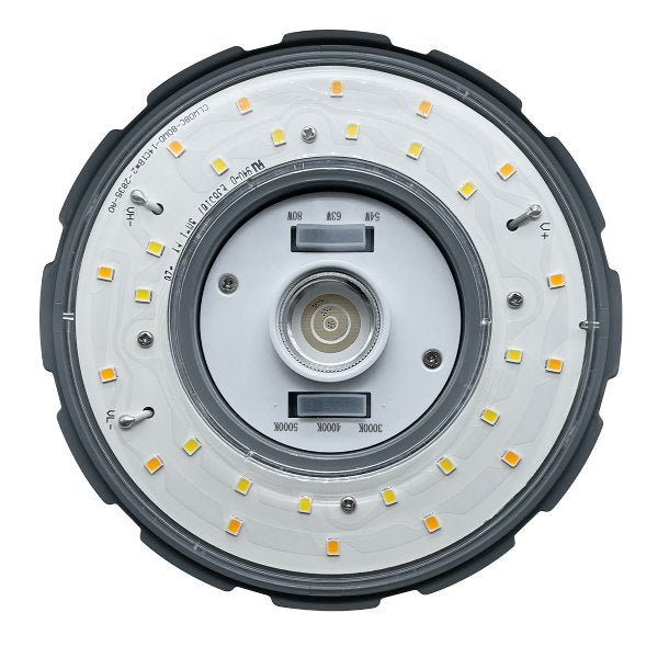 ENV corn 54W-80W LED bulb with power range specification, env-corn-54w-80w-3cct-led-bulb-top_1