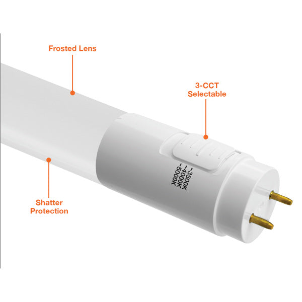 3' 12W T8 Tri - Color Ballast Compatible Bulb - Envision LED