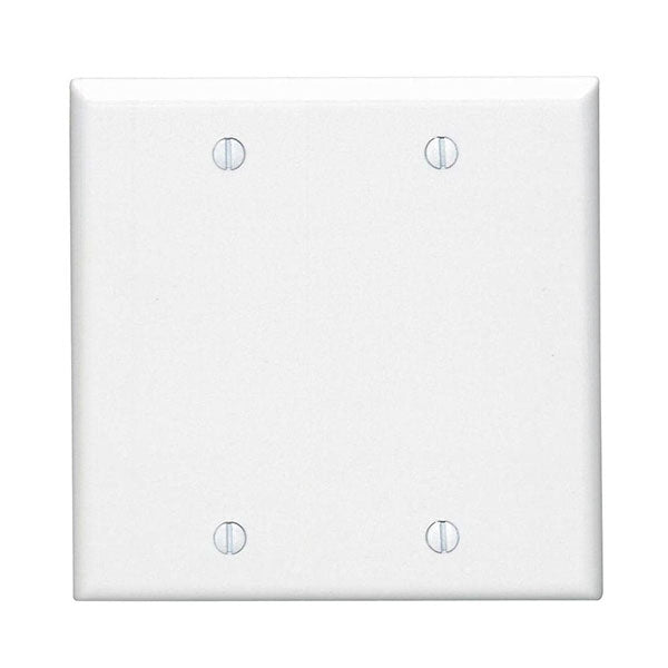 2 gang wall plate