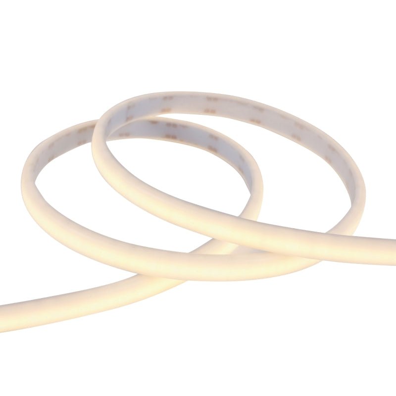Neon lit LED strips with emergency lighting capabilities