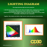 30W Integrated LED Aluminum Spot Up Light  - Abba Lighting USA