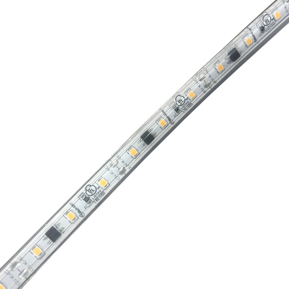 1.5W/ft Landscape 12VAC/DC Accent LED Strip 16' - Richee Lighting