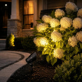 Heavy Duty Aluminum Spot Light 5W 3000K Outdoor - Abba Lighting USA