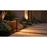 Dark Brass Heavy Duty Cast Path Light IP65 Waterproof - Abba Lighting USA