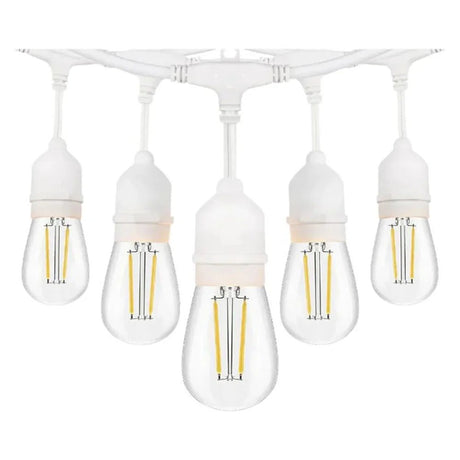 48 ft Low Voltage 2W LED String Lights 3000K IP65 - Abba Lighting USA
