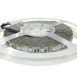 4.5W/ft 12V UL RGB Economic LED Strip