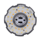 36/27/18W Tri - Color Corn Bulb - Envision LED