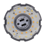 54/45/36W Tri - Color Corn Bulb - Envision LED