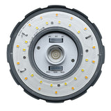 54/63/80W Tri - Color Corn Bulb - Envision LED