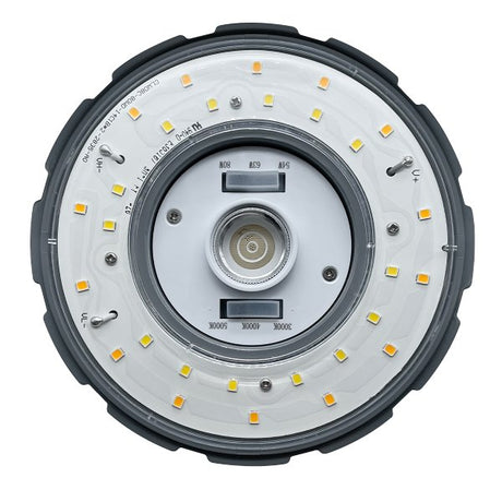 54/63/80W Tri - Color Corn Bulb - Envision LED
