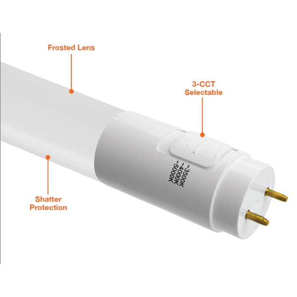 2' 8W T8 Tri - Color Ballast Compatible Bulb - Envision LED