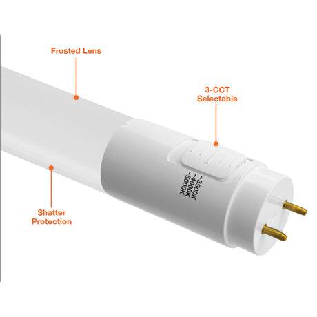 3' 12W T8 Tri - Color Ballast Compatible Bulb - Envision LED