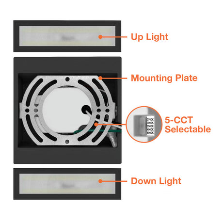 15W Up and Down Mini Wall Sconce - Envision LED