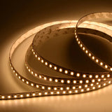 7.7W/ft 24V High Lumen LED Strip - Jinno Lighting