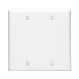 2 gang wall plate