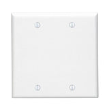 2 gang wall plate