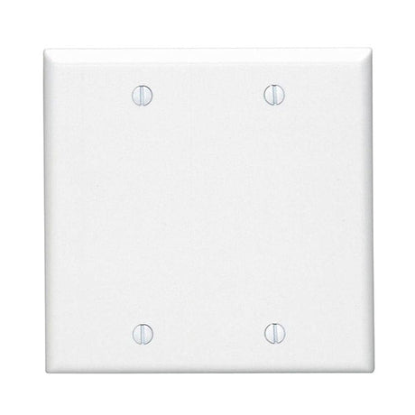 2 gang wall plate