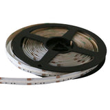 4.5W/ft RGBW COB Spotless LED Strip 16' - Brightnex LED