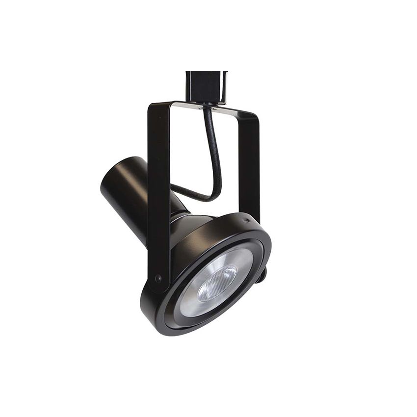 PAR38 Gimbal Ring Track Head