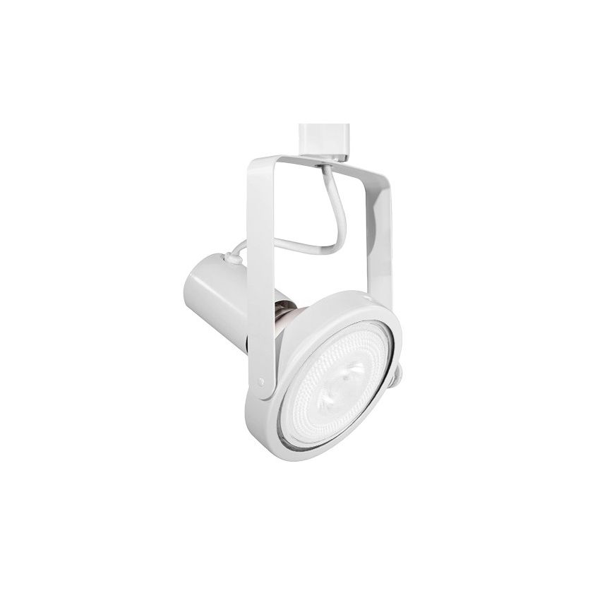 PAR38 Gimbal Ring Track Head