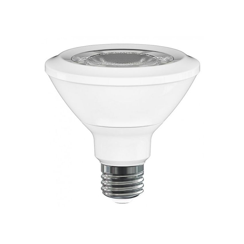 PAR30 13W Dimmable LED Bulb-ENV