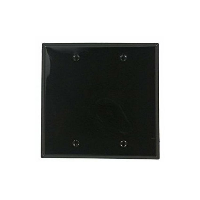 2 Gang Blank Wall Plate-LEV