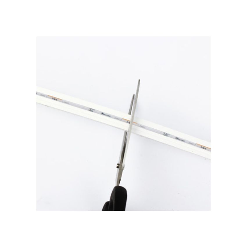 3W/ft Neon Side View LED Strip 16.4'-RCH