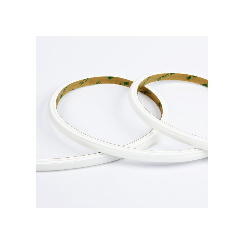 4.4W/ft RGBW Neon Outdoor LED Strip 16'-RCH