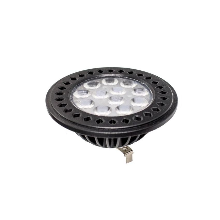12W PAR36 Landscape LED Bulb-WST