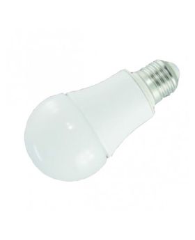 CTL-A19-12V led bulb