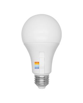 A21 15W 5CCT Dimmable LED Bulb-ENV