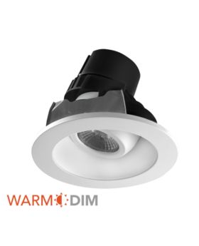 4" Dim to Warm Adjustable Down Light-RAY