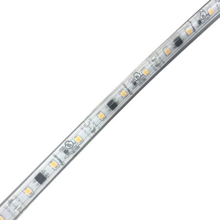 1.5W/ft Landscape 12VAC/DC Accent LED Strip 100'-RCH