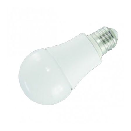 CTL-A19-12V led bulb