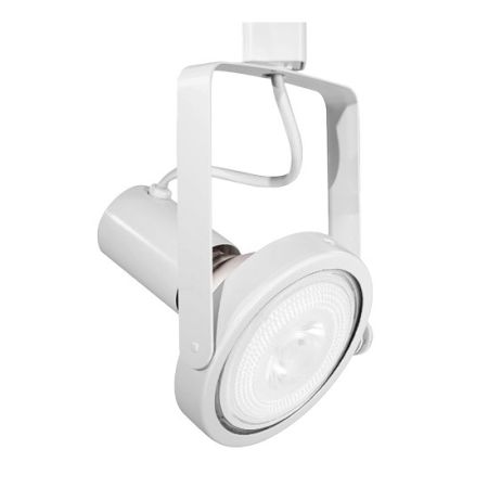 PAR38 Gimbal Ring Track Head