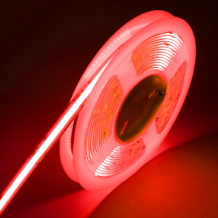 3.6W/ft RGB COB LED Strip 16’-JIN