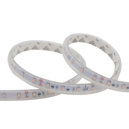 0.73W/ft Water Resistant UL LED Strip SMD2835 160/m 100'-RCH