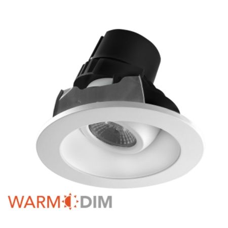 4" Dim to Warm Adjustable Down Light-RAY