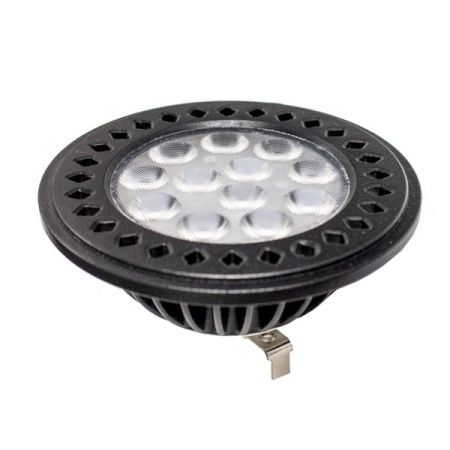 12W PAR36 Landscape LED Bulb-WST