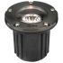 Open Window Cast Brass Adjustable Well Light 316B-CL