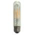 T10 4W LED Filament Bulb 2200K-CTL