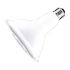 PAR38 15W Dimmable LED Bulb-CTL