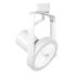 PAR30 Gimbal Ring Track Head
