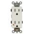 Isolated Ground Receptacle-EN