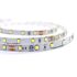 4.4W/ft 12V ETL Economic LED Strip-JET