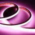4.4W/ft RGBW Neon Outdoor LED Strip 49.2'-RCH
