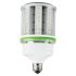 27W LED Corn Bulb-WST