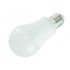 12V A19 6W LED Bulb 3000K-CTL