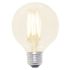 5.5W G25 Filament Globe LED Bulb 2700K 2 Pack-CTL